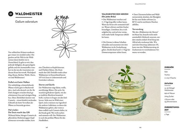 Produktbild: 52 wilde Fermente
