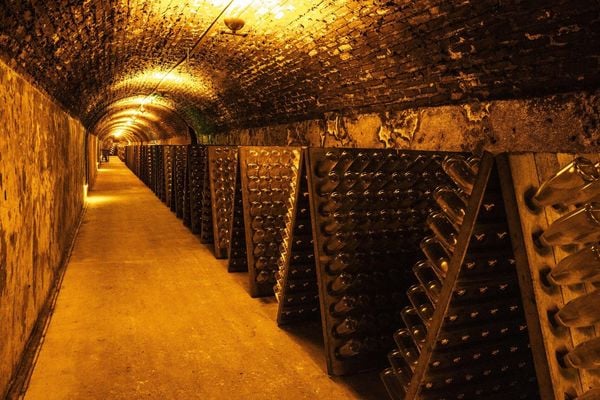 Produktbild: Champagner &ndash; das Buch