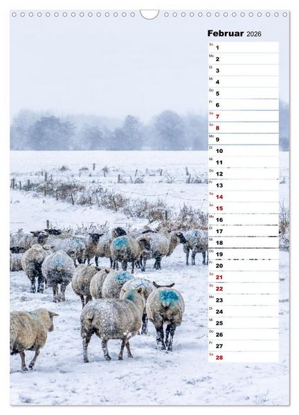 Produktbild: Westk&uuml;ste - Zwischen St. Peter Ording, B&uuml;sum und Elbe (Wandkalender 2026 DIN A3 hoch), CALVENDO Monatskalender