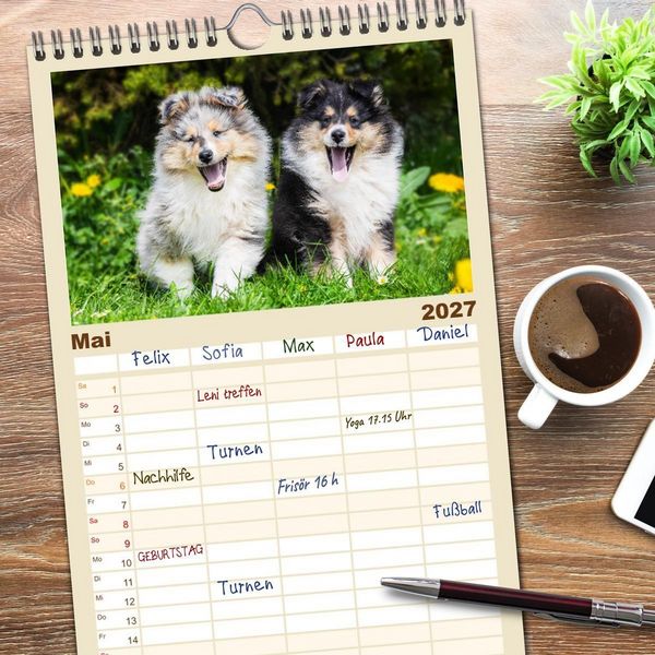 Produktbild: Familienplaner 2027 - Faszinierende Rough Collies mit 5 Spalten (Wandkalender, 21 x 45 cm) CALVENDO