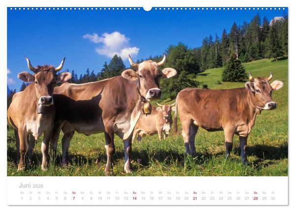 Produktbild: Graub&uuml;nden Engadin 2026 (hochwertiger Premium Wandkalender 2026 DIN A2 quer), Kunstdruck in Hochglanz
