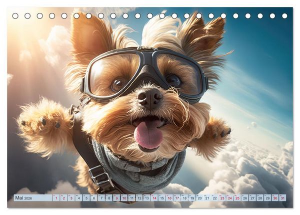 Produktbild: Hunde Skydiving (Tischkalender 2026 DIN A5 quer), CALVENDO Monatskalender