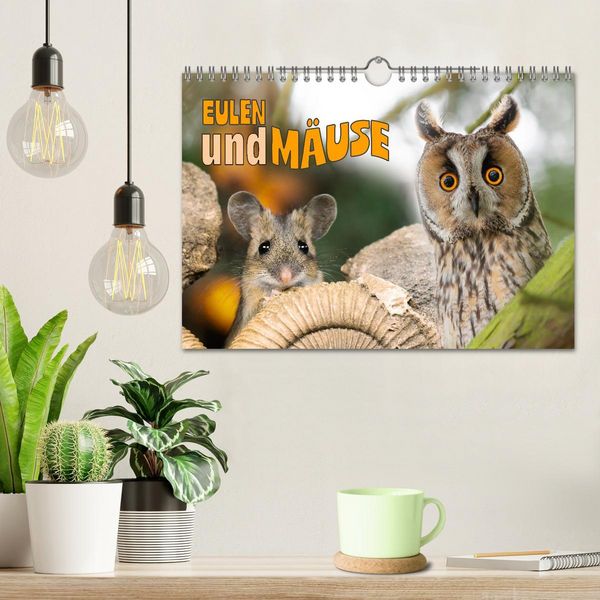 Produktbild: Eulen und M&auml;use (Wandkalender 2026 DIN A4 quer), CALVENDO Monatskalender