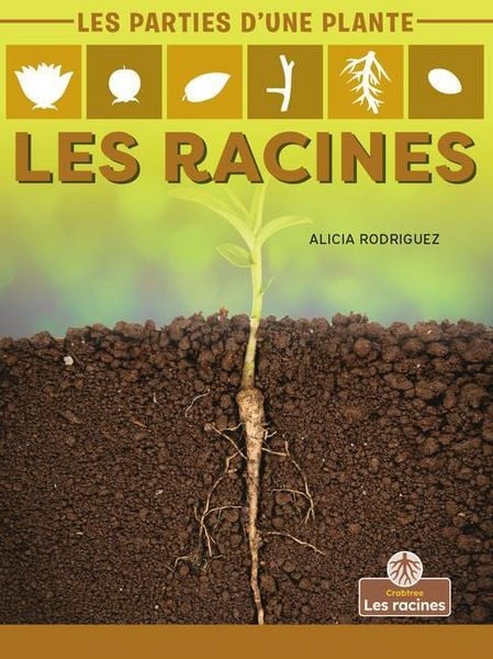 Produktbild: Les Racines (Roots)