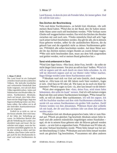 Produktbild: Das Buch der Versprechen