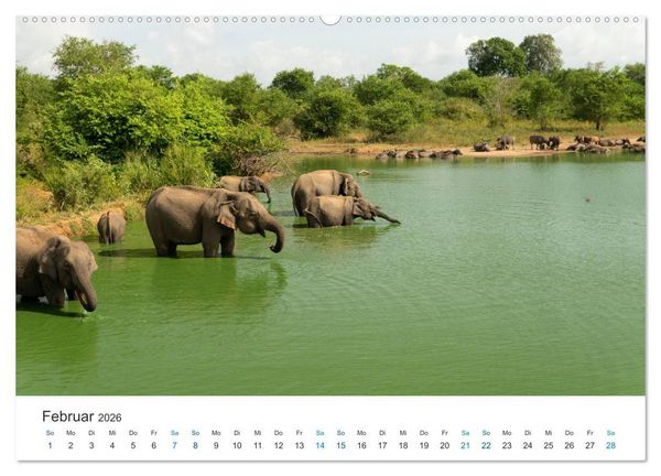 Produktbild: Traumziel Sri Lanka (hochwertiger Premium Wandkalender 2026 DIN A2 quer), Kunstdruck in Hochglanz