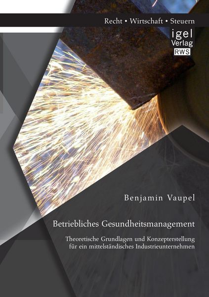 Betriebliches Gesundheitsmanagement: Theoretische Grundlagen und Konzepterstellung für ein mittelständisches Industrieunternehmen, Taschenbuch von