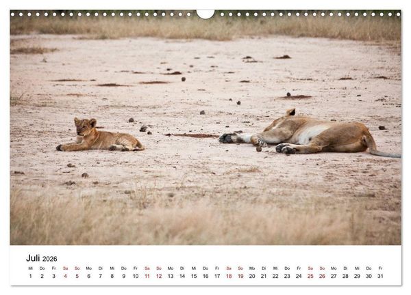 Produktbild: Sambia und der Sambesi (Wandkalender 2026 DIN A3 quer), CALVENDO Monatskalender