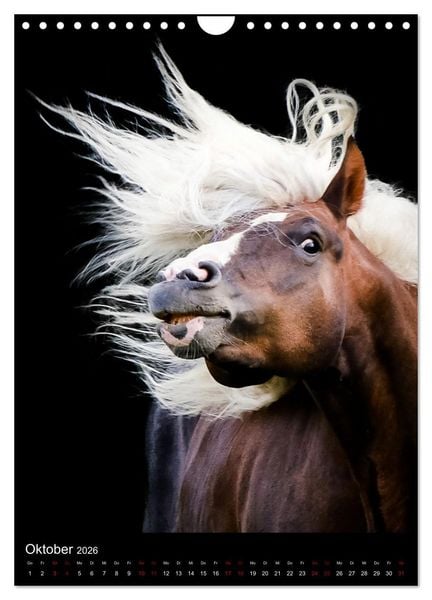 Produktbild: Schwarzw&auml;lder F&uuml;chse von Julia Hahn Photography (Wandkalender 2026 DIN A4 hoch), CALVENDO Monatskalender