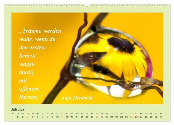 Produktbild: Co-Kreation, Gemeinsam Wunder erschaffen (hochwertiger Premium Wandkalender 2026 DIN A2 quer), Kunstdruck in Hochglanz