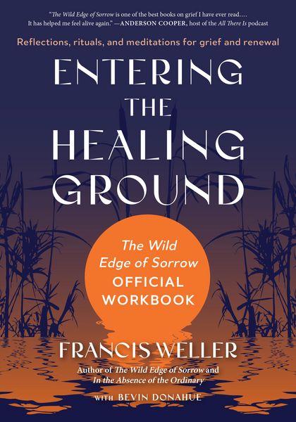 Produktbild: Entering the Healing Ground