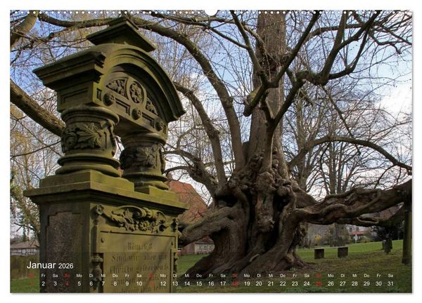 Produktbild: Blomberg in Lippe (Wandkalender 2026 DIN A2 quer), CALVENDO Monatskalender