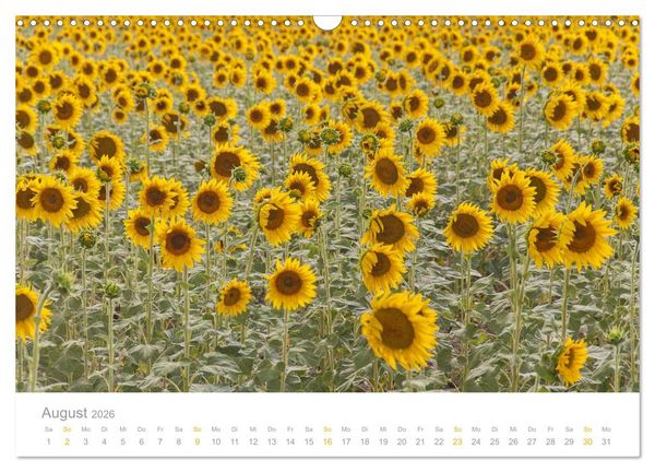 Produktbild: Provence: Malerisches S&uuml;dfrankreich (Wandkalender 2026 DIN A3 quer), CALVENDO Monatskalender