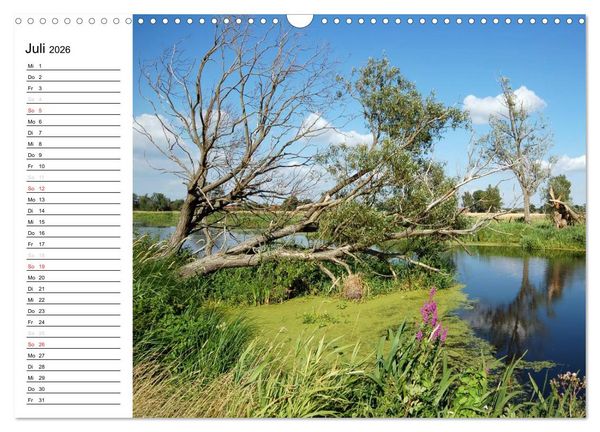 Produktbild: Vier Jahreszeiten im Land Brandenburg (Wandkalender 2026 DIN A3 quer), CALVENDO Monatskalender