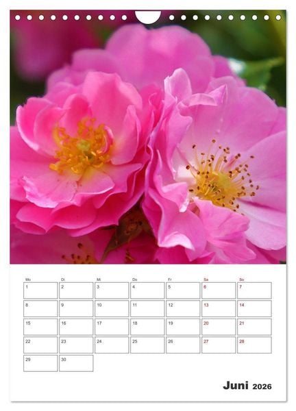 Produktbild: BL&Uuml;TENZAUBER (Wandkalender 2026 DIN A4 hoch), CALVENDO Monatskalender