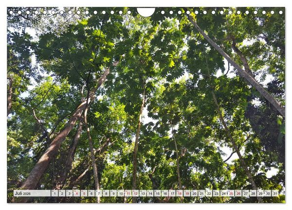 Produktbild: Costa Rica - Lebensfreude pur (Wandkalender 2026 DIN A4 quer), CALVENDO Monatskalender