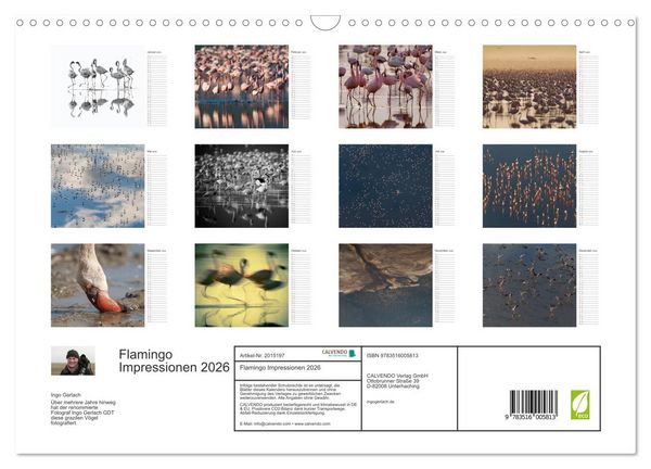 Produktbild: Flamingo Impressionen 2026 (Wandkalender 2026 DIN A3 quer), CALVENDO Monatskalender