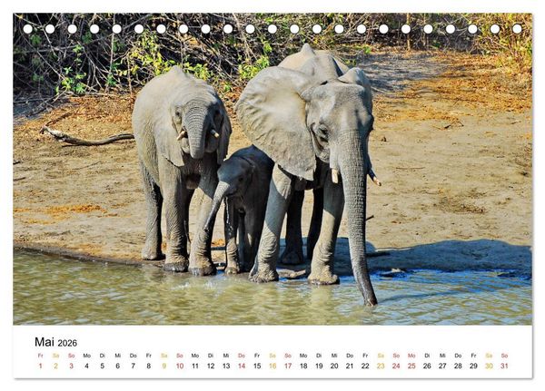 Produktbild: Elefanten Impressionen (Tischkalender 2026 DIN A5 quer), CALVENDO Monatskalender