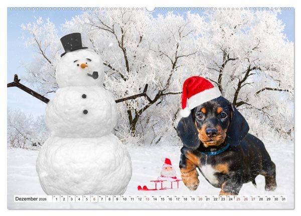 Produktbild: Dackeltr&auml;umereien - Kleine Helden auf 4 Pfoten (hochwertiger Premium Wandkalender 2026 DIN A2 quer), Kunstdruck in Hochglanz