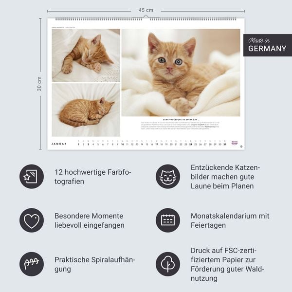 Produktbild: Whiskas Katzenkalender 2027