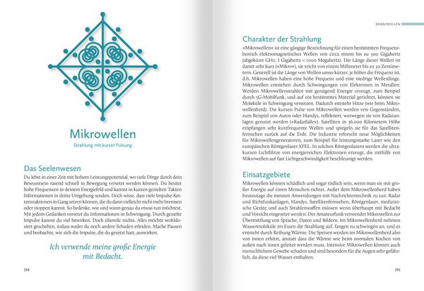 Produktbild: Hom&ouml;opathische Symbolapotheke. 70 wichtige "Kleine Mittel"