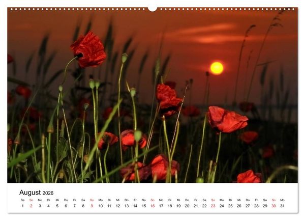 Produktbild: Insel R&uuml;gen Impressionen (Wandkalender 2026 DIN A2 quer), CALVENDO Monatskalender