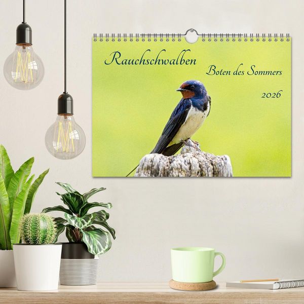 Produktbild: Rauchschwalben - Boten des Sommers (Wandkalender 2026 DIN A4 quer), CALVENDO Monatskalender