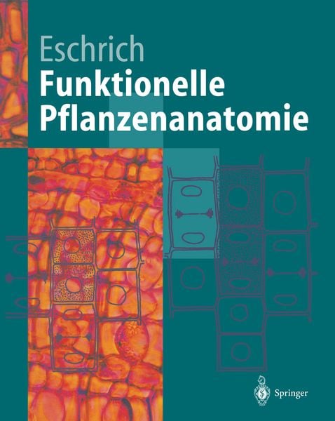 Produktbild: Funktionelle Pflanzenanatomie