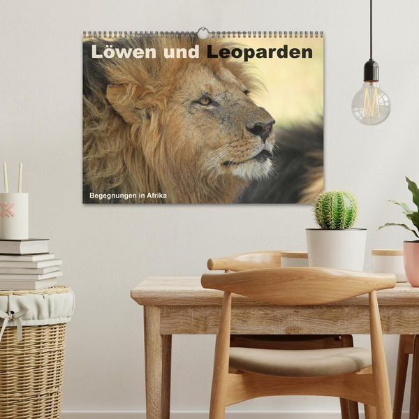 Produktbild: L&ouml;wen und Leoparden - Begegnungen in Afrika (Wandkalender 2026 DIN A3 quer), CALVENDO Monatskalender