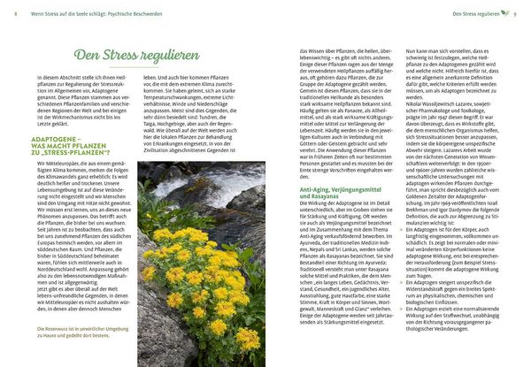 Produktbild: Mit Naturheilkunde Stress bew&auml;ltigen