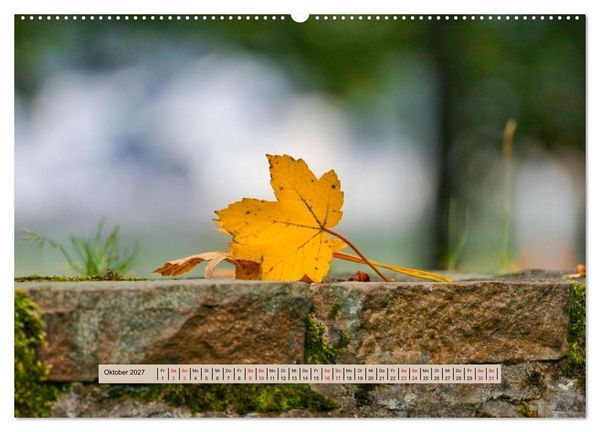 Produktbild: Nebel, Licht und Wunder (hochwertiger Premium Wandkalender 2027 DIN A2 quer), Kunstdruck in Hochglanz