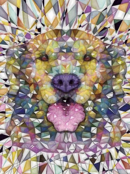 Produktbild: CALVENDO Puzzle Regenbogen Hund | 1000 Teile Lege-Gr&ouml;&szlig;e 64x48cm Foto-Puzzle f&uuml;r gl&uuml;ckliche Stunden