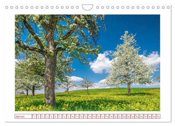 Produktbild: Stahringen im Hegau (Wandkalender 2026 DIN A4 quer), CALVENDO Monatskalender