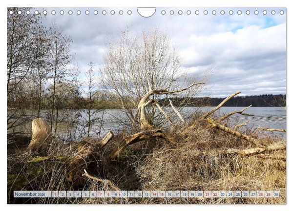 Produktbild: Magisches Ostholstein (Wandkalender 2026 DIN A4 quer), CALVENDO Monatskalender