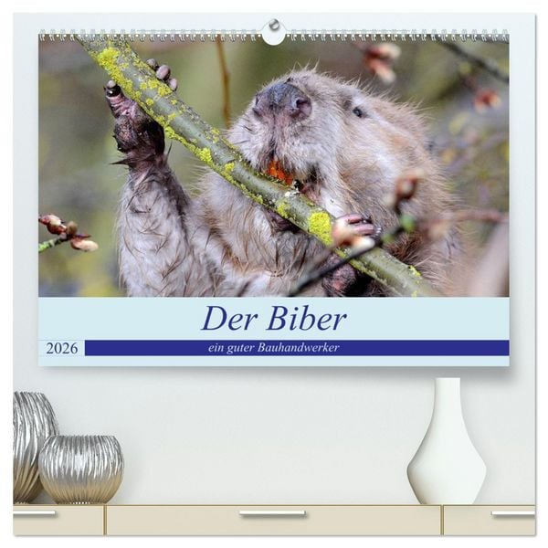 Produktbild: Der Biber, ein guter Bauhandwerker (hochwertiger Premium Wandkalender 2026 DIN A2 quer), Kunstdruck in Hochglanz