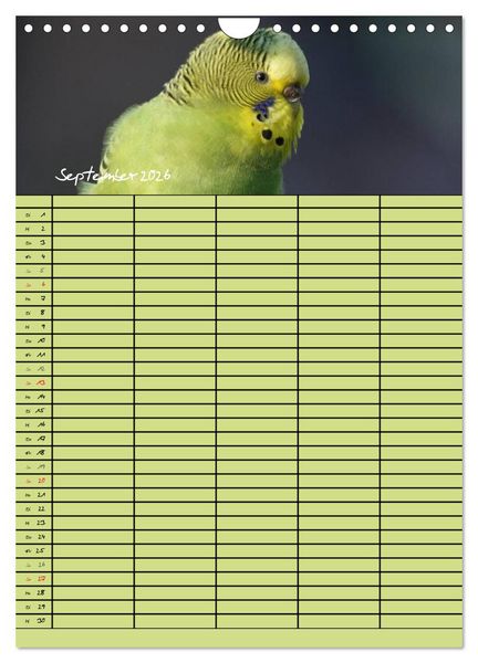Produktbild: Der Wellensittich-Familienplaner (Wandkalender 2026 DIN A4 hoch), CALVENDO Monatskalender