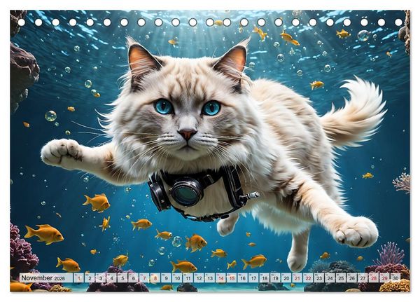 Produktbild: Katzen unter Wasser (Tischkalender 2026 DIN A5 quer), CALVENDO Monatskalender