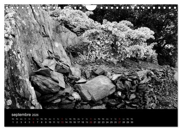 Produktbild: VIGNES DU SUD terroirs d'AOC (Calendrier mural 2026 DIN A4 vertical), CALVENDO calendrier mensuel