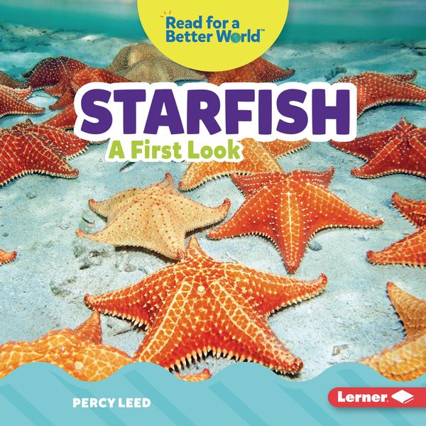 Produktbild: Starfish