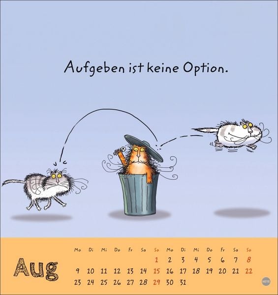 Produktbild: Catzz Postkartenkalender 2027