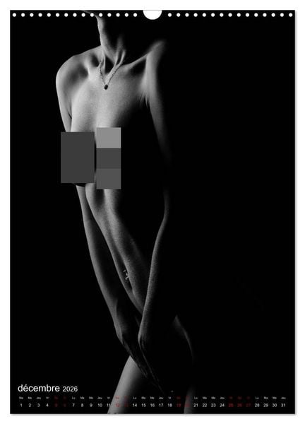 Produktbild: Apparat lumineux (Calendrier mural 2026 DIN A3 horizontal), CALVENDO calendrier mensuel