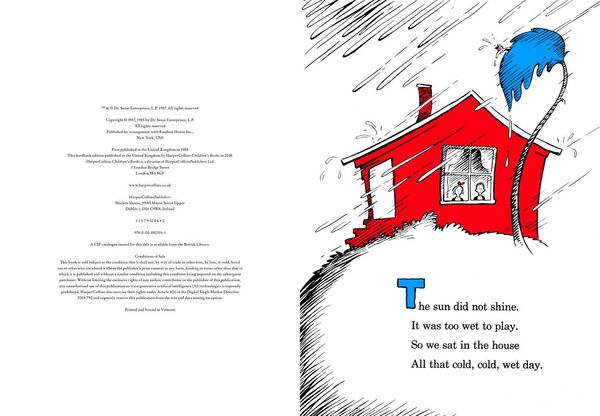 Produktbild: CAT IN HAT HB