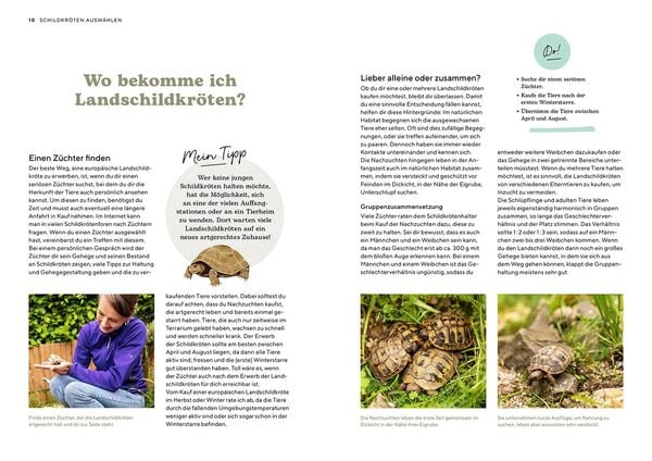Produktbild: Landschildkr&ouml;ten