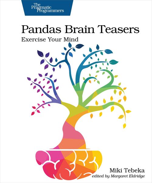 Produktbild: Pandas Brain Teasers
