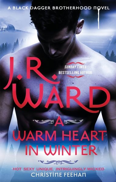 Produktbild: A Warm Heart in Winter