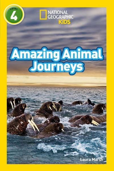 Produktbild: Amazing Animal Journeys