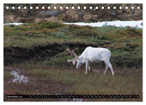 Produktbild: Schweden + Norwegen (Tischkalender 2026 DIN A5 quer), CALVENDO Monatskalender