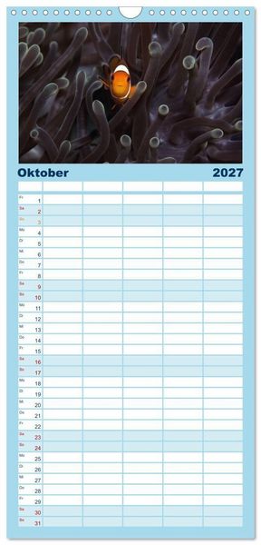 Produktbild: Familienplaner 2027 - Tauchen, Fische und Meer mit 5 Spalten (Wandkalender, 21 x 45 cm) CALVENDO