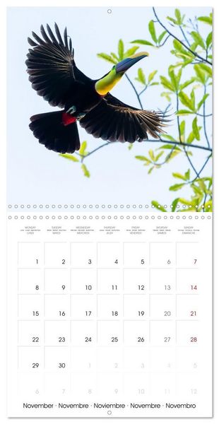 Produktbild: Costa Rica wild and peaceful (Wall Calendar 2027 12 &times; 12 Inch) CALVENDO 12 Month Wall Calendar