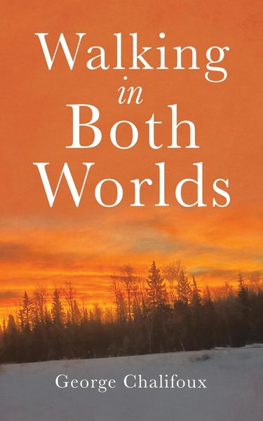 Produktbild: Walking in Both Worlds